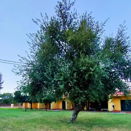 Nuraghe Ruiu & Holiday home