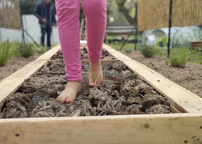 Nuraghe Ruiu & Дом отдыха Norbello